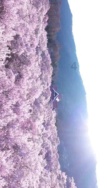 如果没有星儿的出现，元淳和燕洵会在一起吗游戏画面