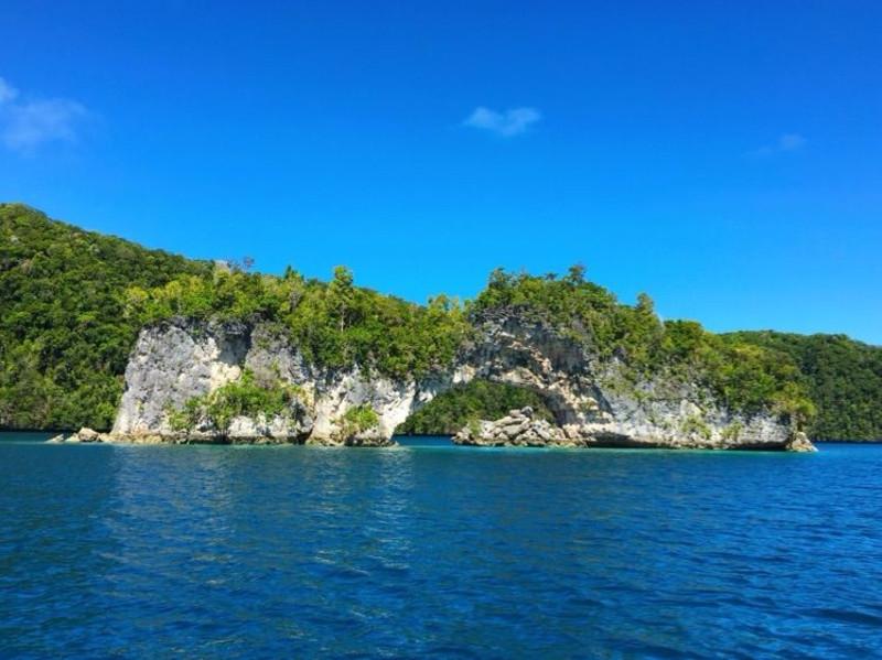 梦想的后院